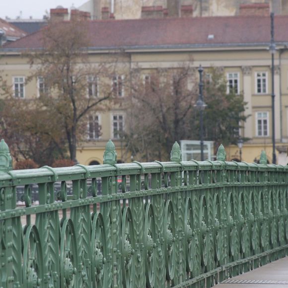 Meet your Posher, Kelly - Picture 1 of 1